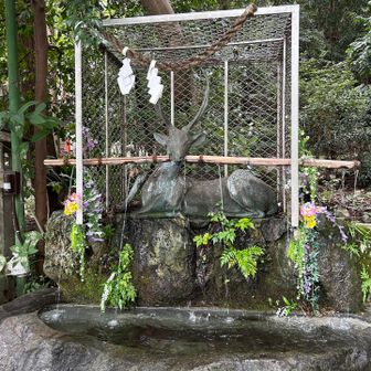 鹿の手水舎。
実際にみると良い感じです。