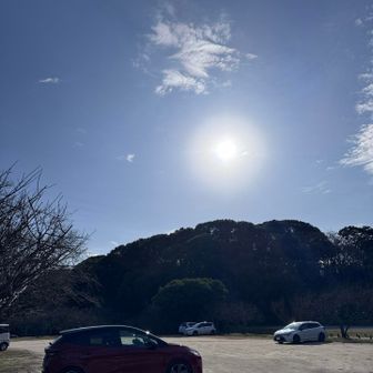 すっかり晴れた下山時でした