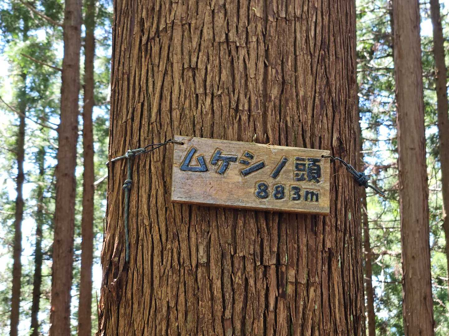 グレーピーク①
特に問題なくゲット