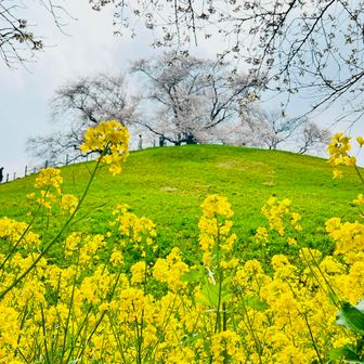 いいね〜😆📸