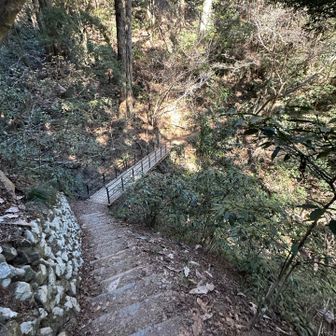初めての三号路＋二号路で帰ります。一号路より遠回りですが、ここもほとんど登山者はおらず静かに考えながら歩けます