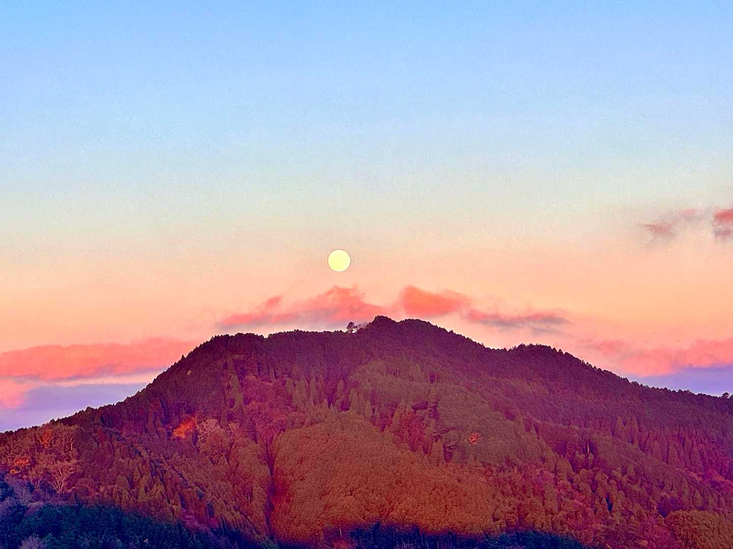 振り返ると紅く染まる霊山に沈むまんまるお月様