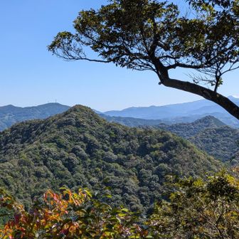手前は金山岳