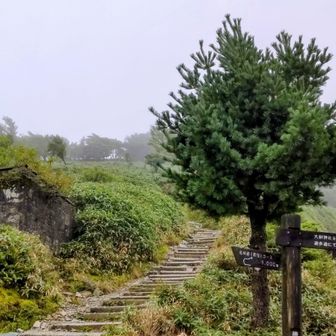 西島駅でリフトを降りて剣山まで最短の尾根道コースを選びました。