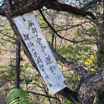 病は気から‼️美味しいもの食べて、お山歩してたら、健康でいられるかなꉂ🤭