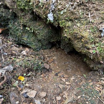 境川になる一滴一滴が、ジンワリと滲み出していました💧ヒンヤリ冷たかったです。