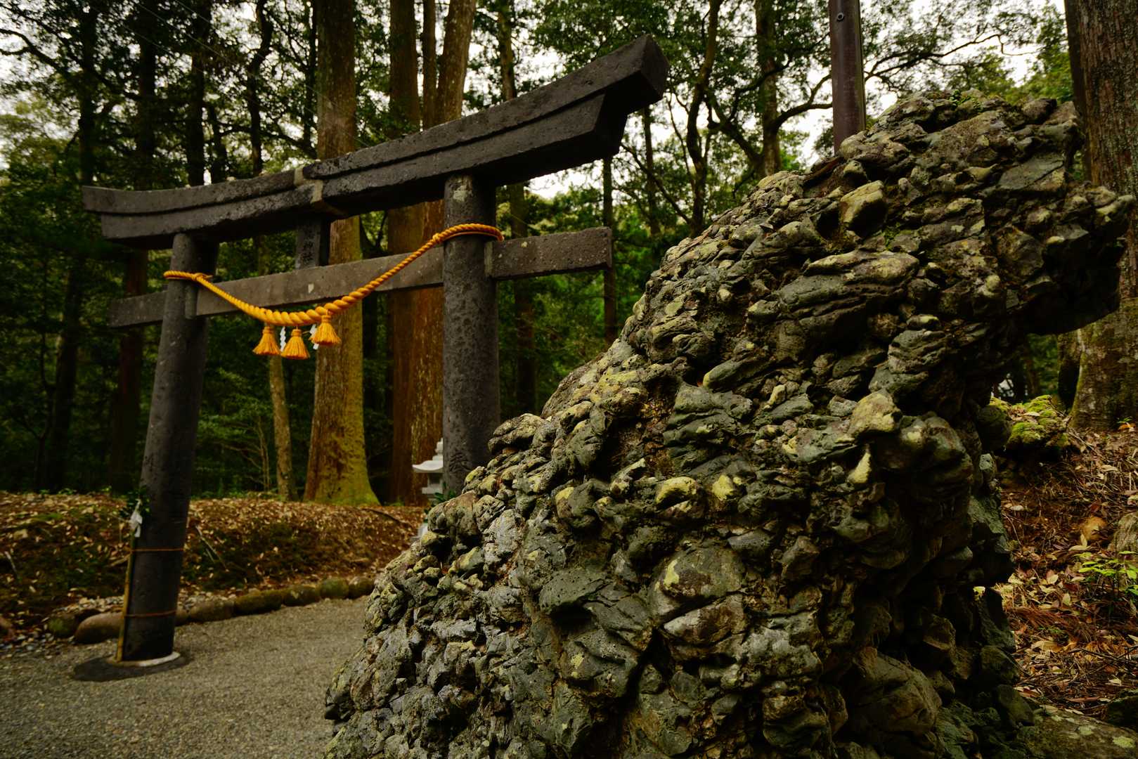 鳥居の横にはさざれ石があります