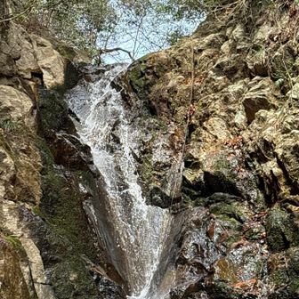 六甲山・長峰山・摩耶山 あそこにロープあるけど、ちょっと直登は無理っぽい
