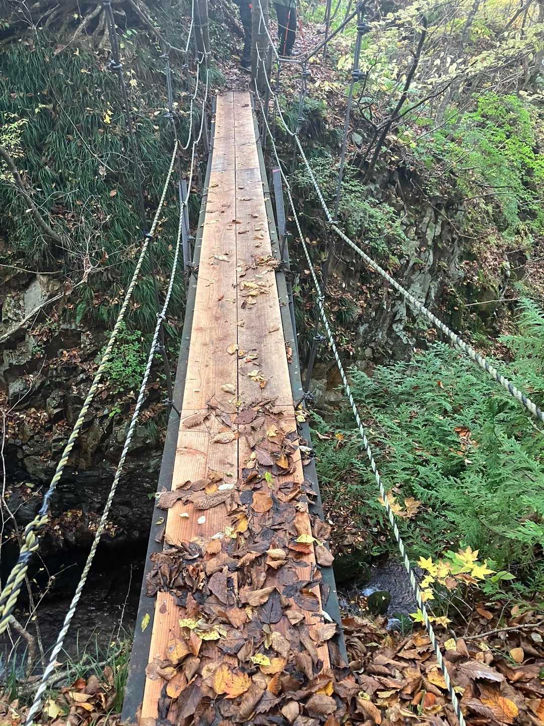 面白山 カモシカコース〜紅葉川 周回コースの写真