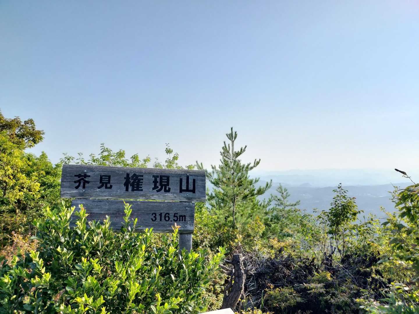 芥見権現山-老洞峠 周回コースの写真