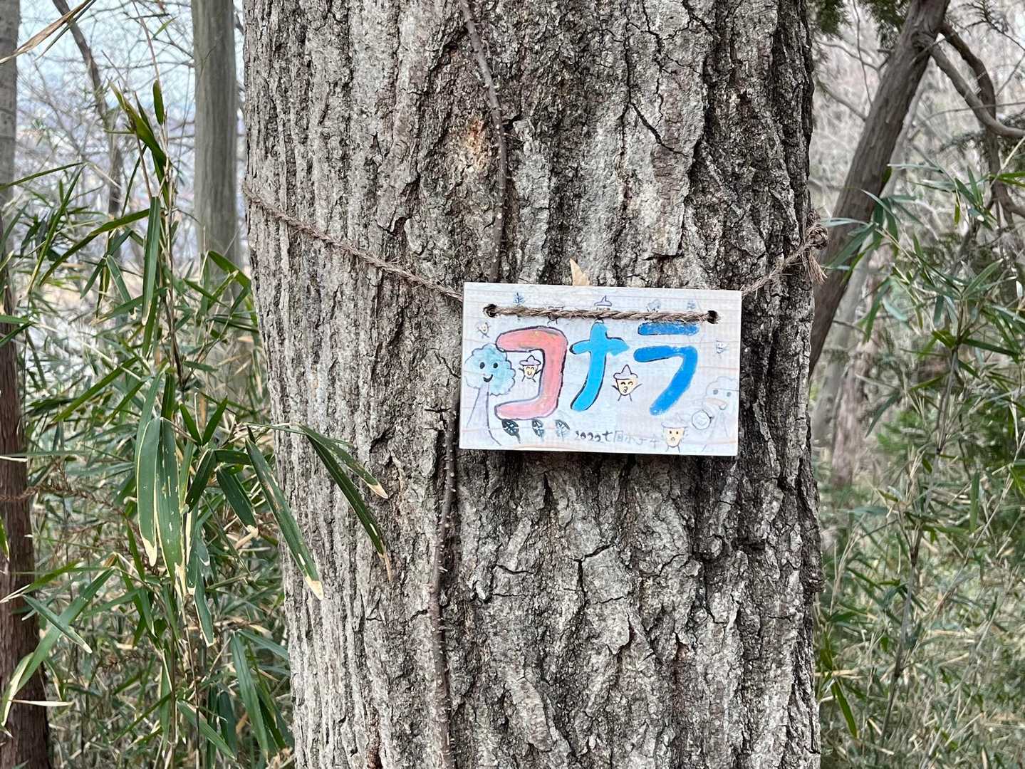 子供達の手書き