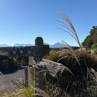 ふむふむ🤨万年山までは2キロないんだな‥