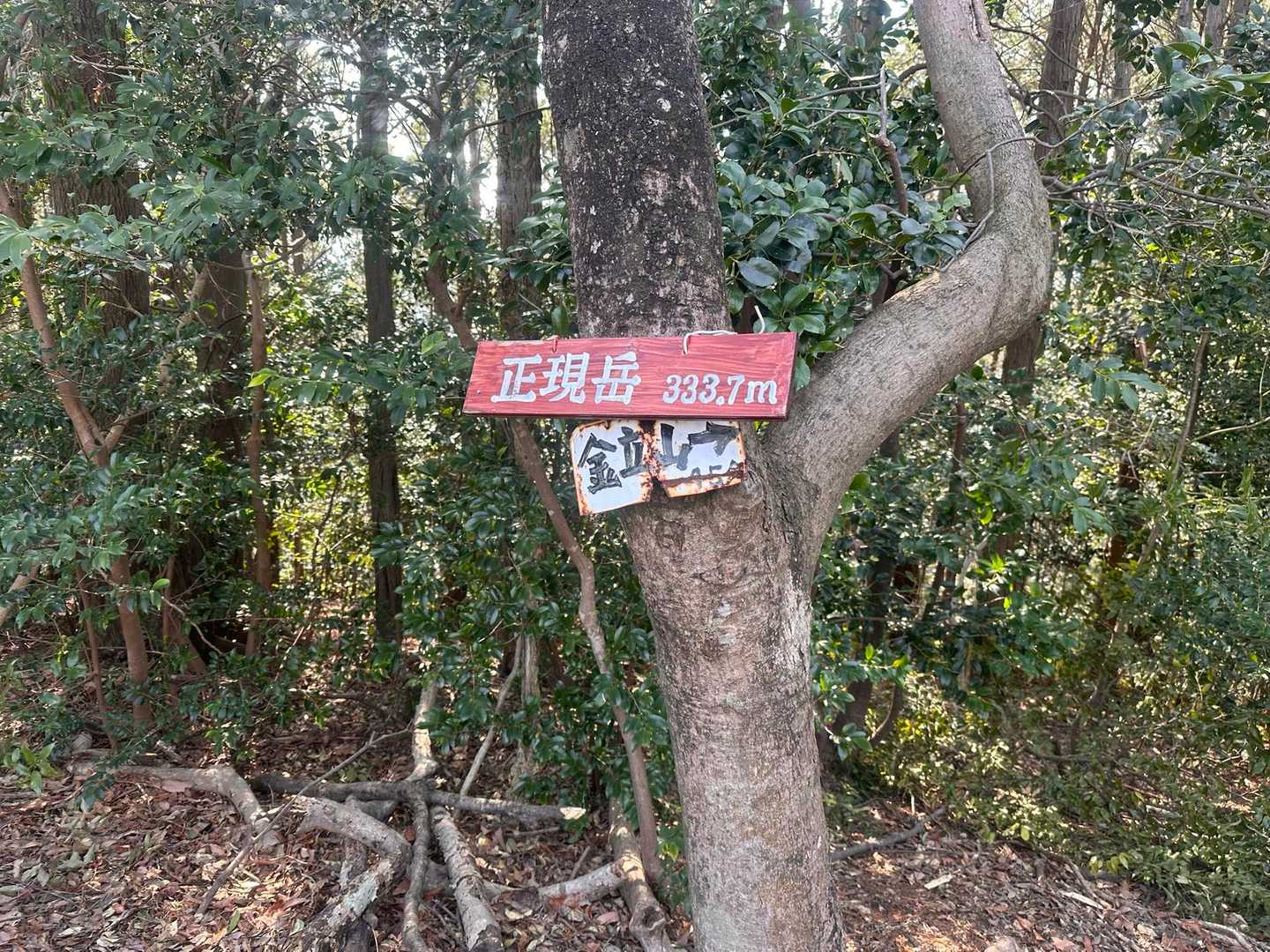 正現山いただきました