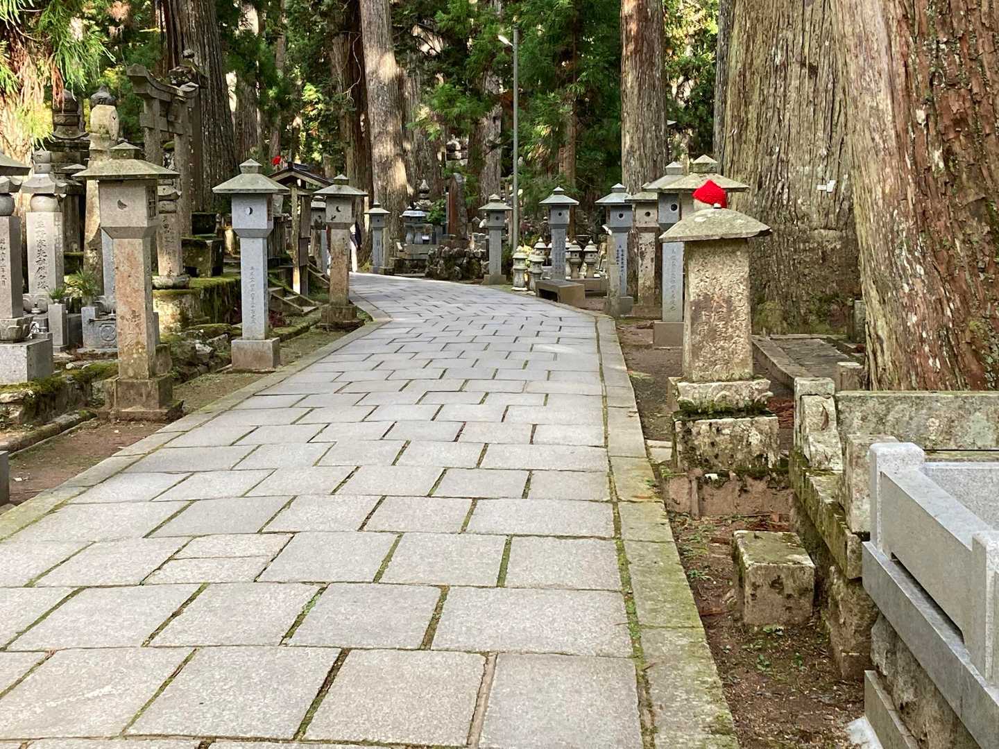女人道巡り・高野三山巡り①の写真