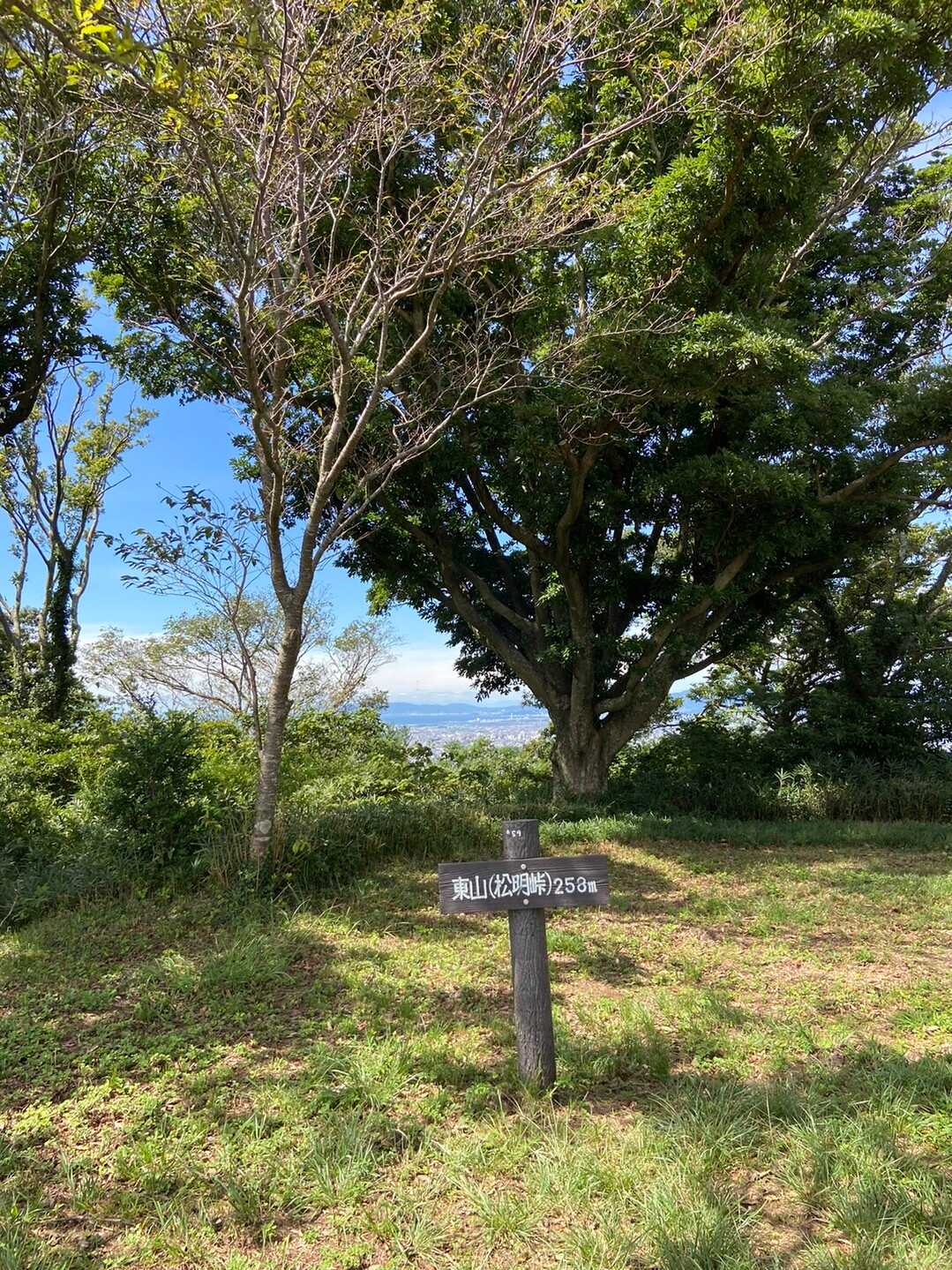 東山の写真