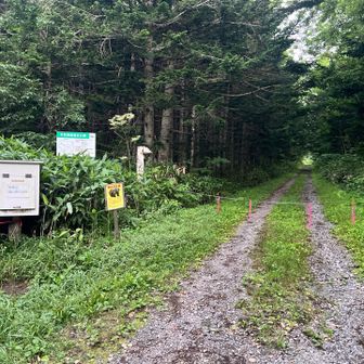 喜茂別コース登山口、駐車スペースが少ない
3番目に入山、しばらく林道歩き