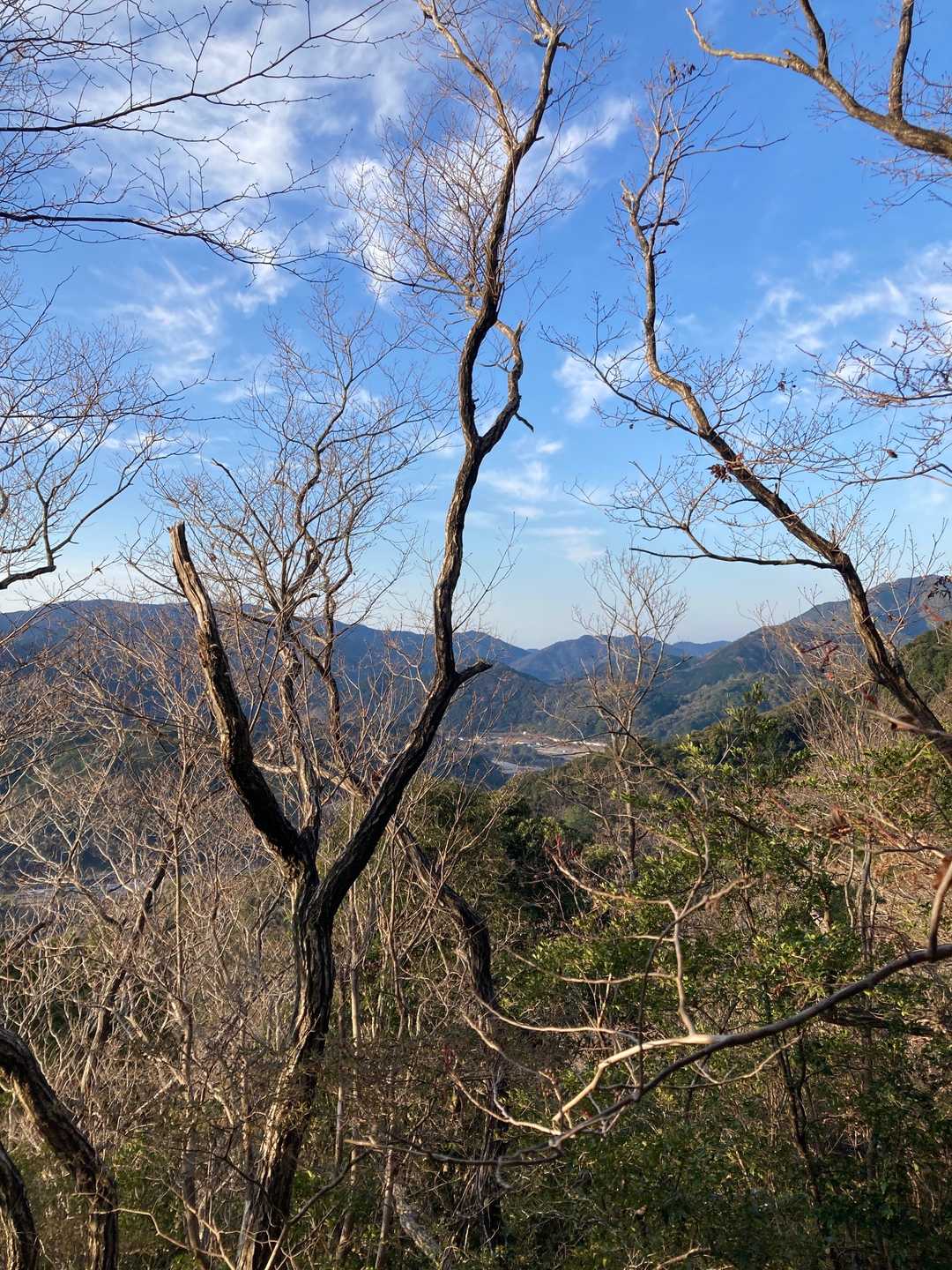 飯盛山-長者ヶ峰 往復コースの写真