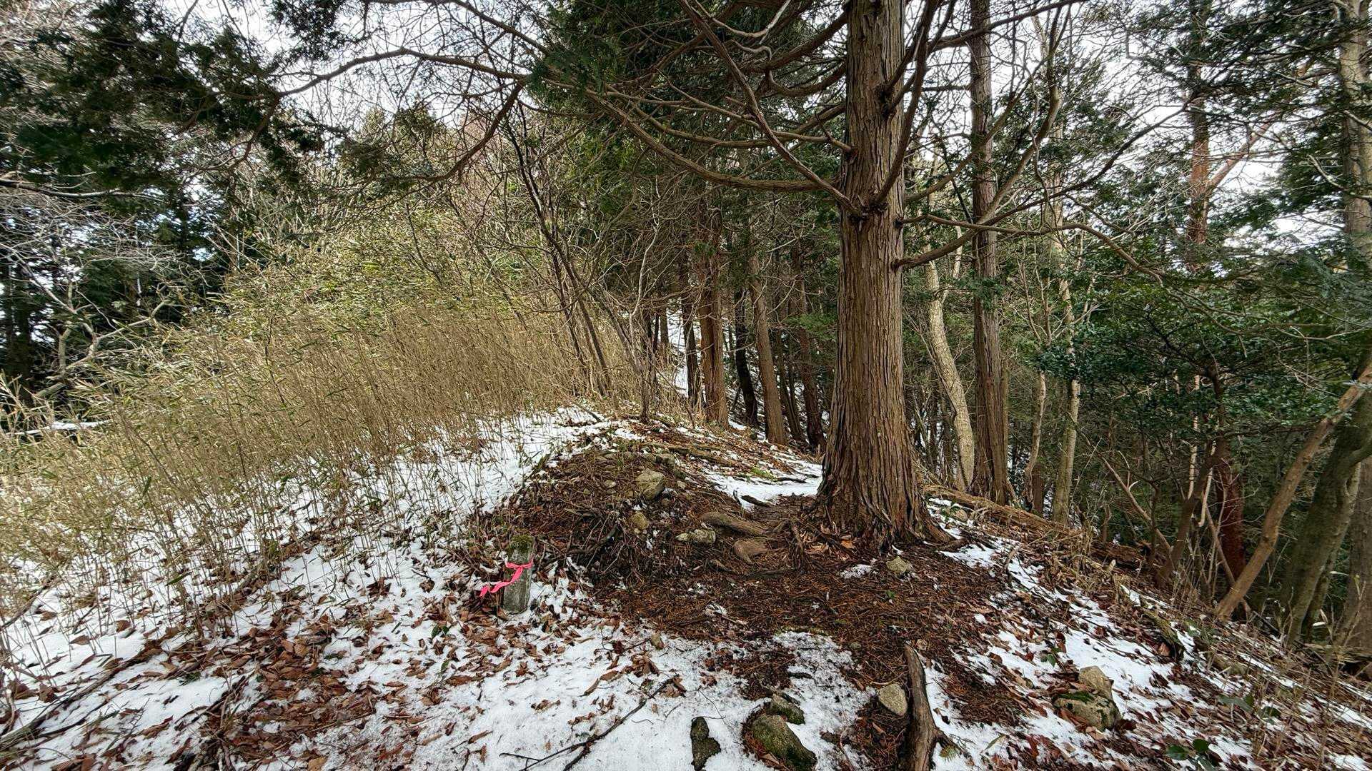 声ヶ乢登山口-山形仙 往復コースの写真