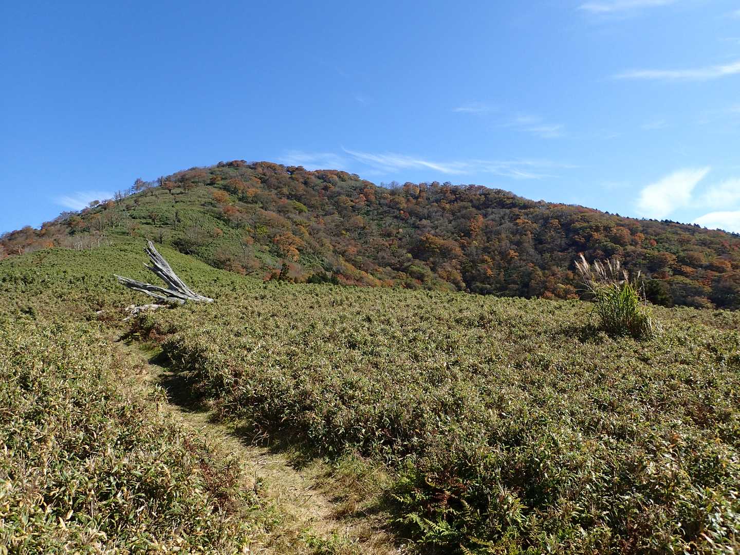 振り返って三室山