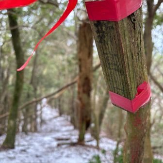 新宮山山頂

この辺りには雪が残ってます
そして笠ヶ峰までは急登・急降が待っていました
だが、またそれも一興