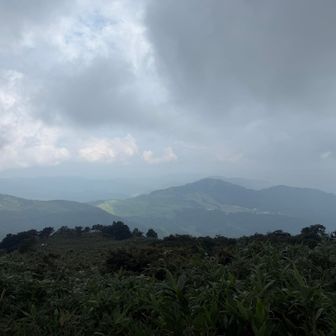 白っぽいね☁️