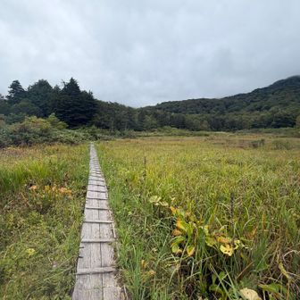 兵馬の平湿原で一息つく。