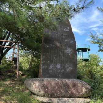 大きな記念碑、800年記念とある