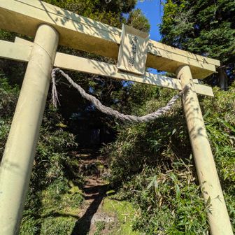 裏に⛩️