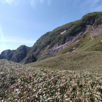 冠の頂から落ちていく東稜