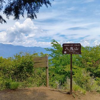 九鬼山登頂！
わかってはいたけど、富士山は見えないのね～