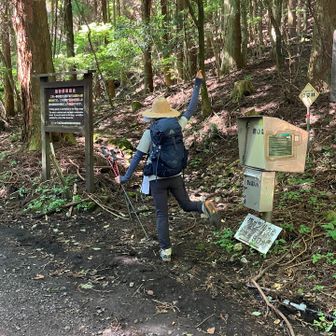 登るどー！

今日は九州で初めてできた山友さんと！
くじゅうによく来られると聞いてたのでお声かけさせていただきました😊
ポーズ初披露w

楽ちん林道コースは
ここ左⬅️からスタート