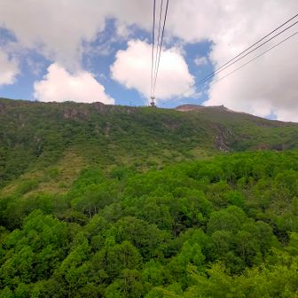 ロープウェイ、一番山頂側に陣取りましたｗ
昔、彼女と来たことを思い出しましたwww