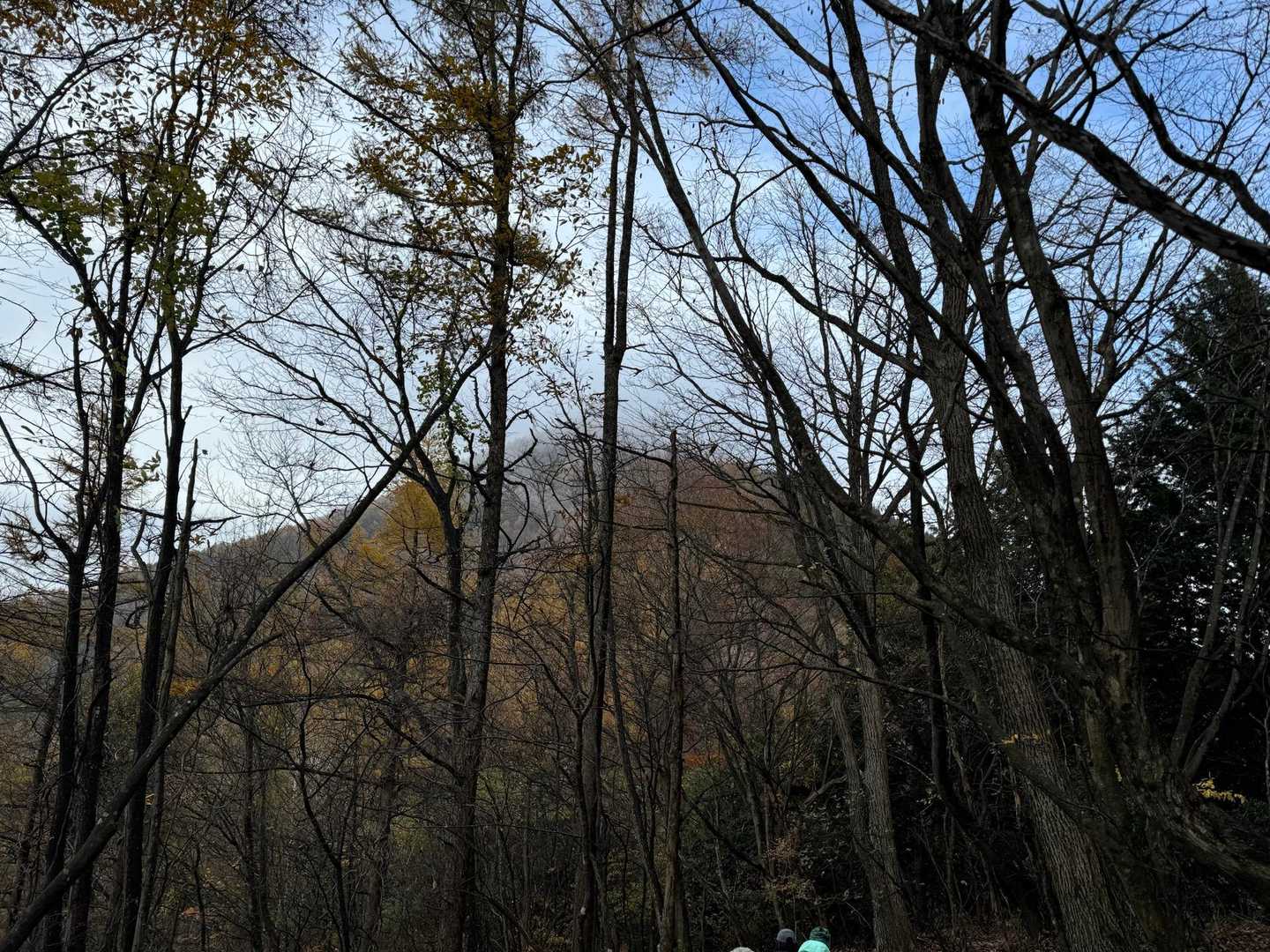 最後のピーク武甲山を目指す
