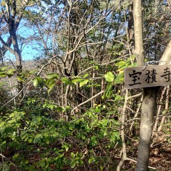 山頂は眺望無し