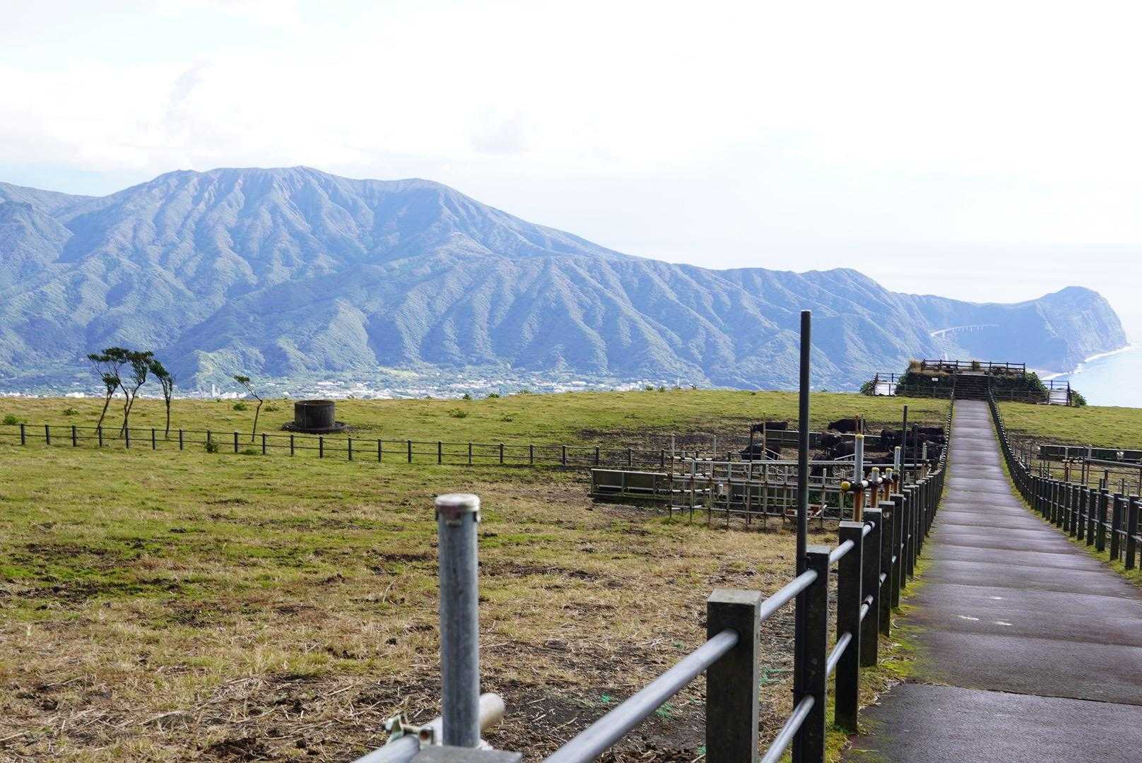 八丈富士登山口-八丈富士  往復コースの写真