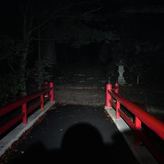 雪は全くない。