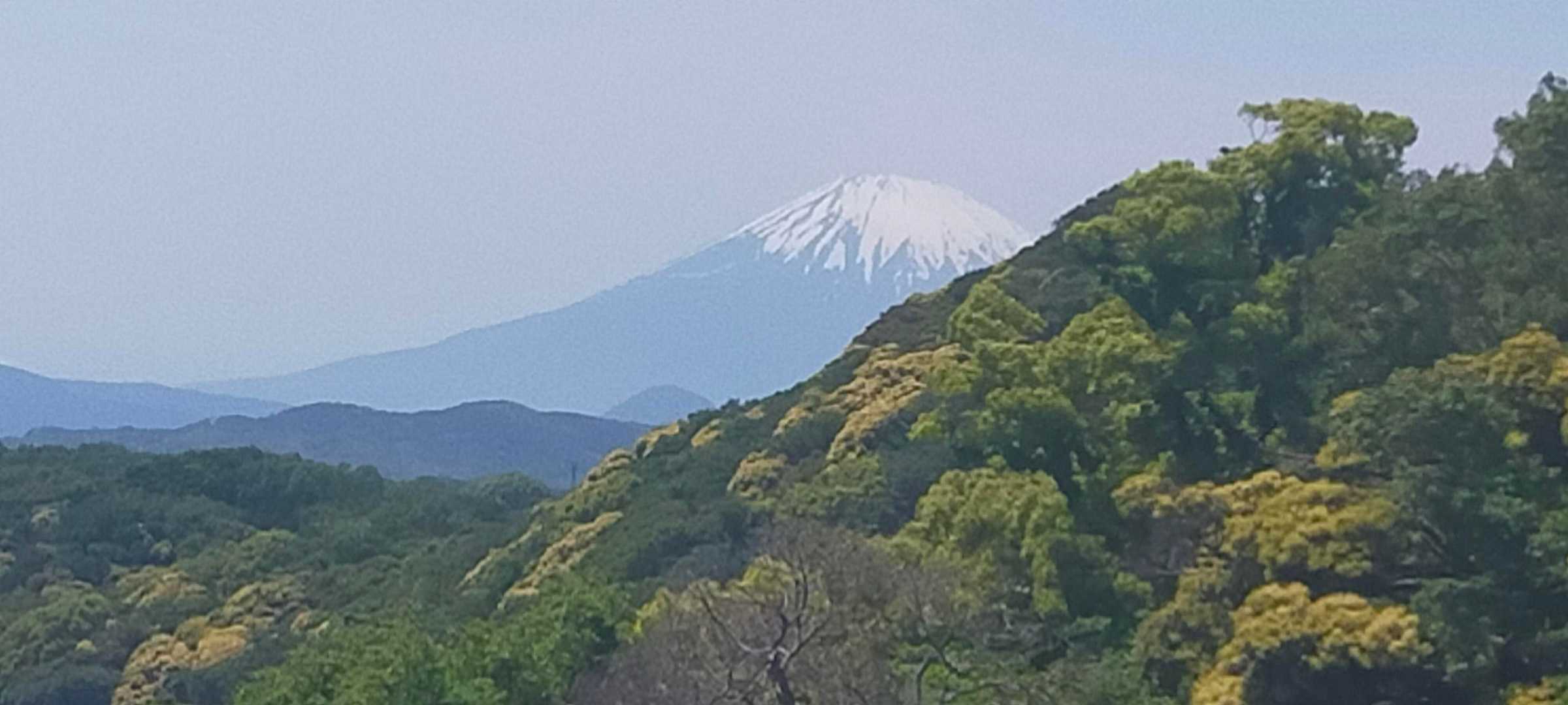 大磯駅-紅葉山 周回コースの写真