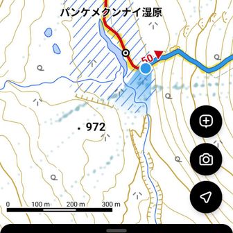ココ🙄