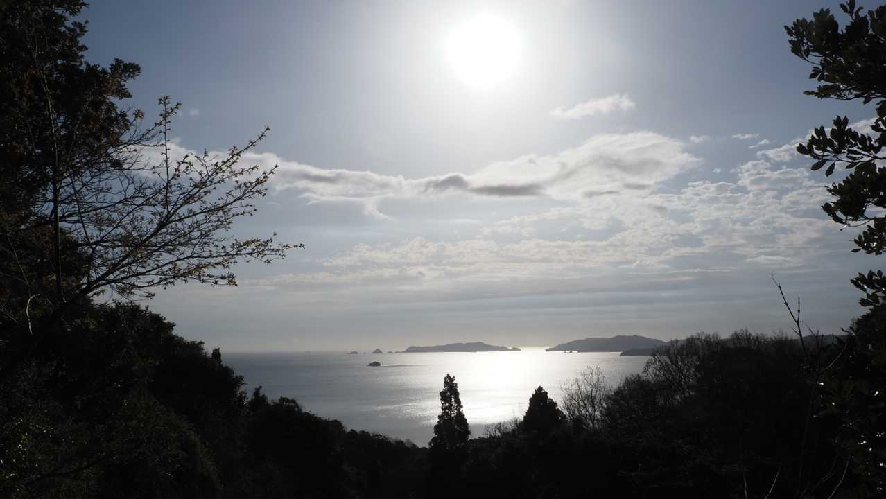 海が見えます。