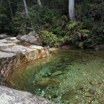 水が少なすぎる😨
ここだけ僅かな
エメラルドグリーンの清流見れます
