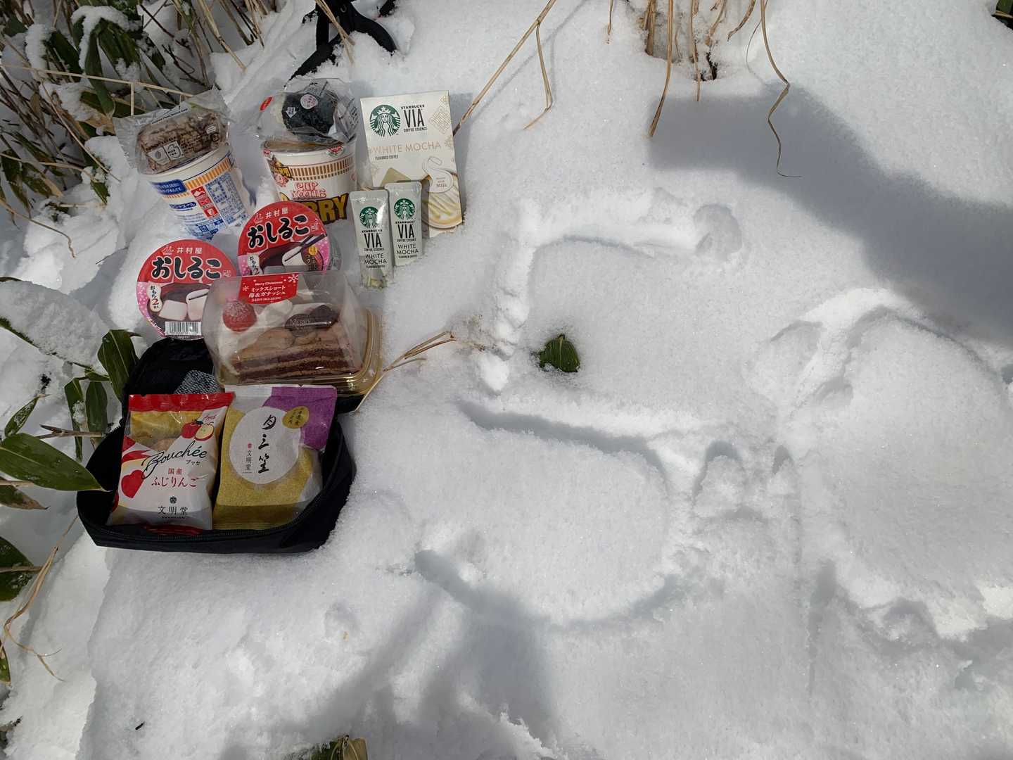 ✨50座✨と今日のお供達😊🎶