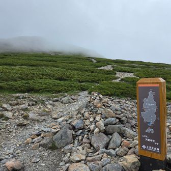 小赤石岳を目指すと 先ほどまでの好天が嘘のように ガスってきた。