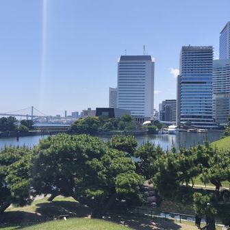 浜離宮恩賜庭園に着いた。ここはグレーピークがたくさんあります。まずは”新樋の口山”。頂上からレインボーブリッジが見える。