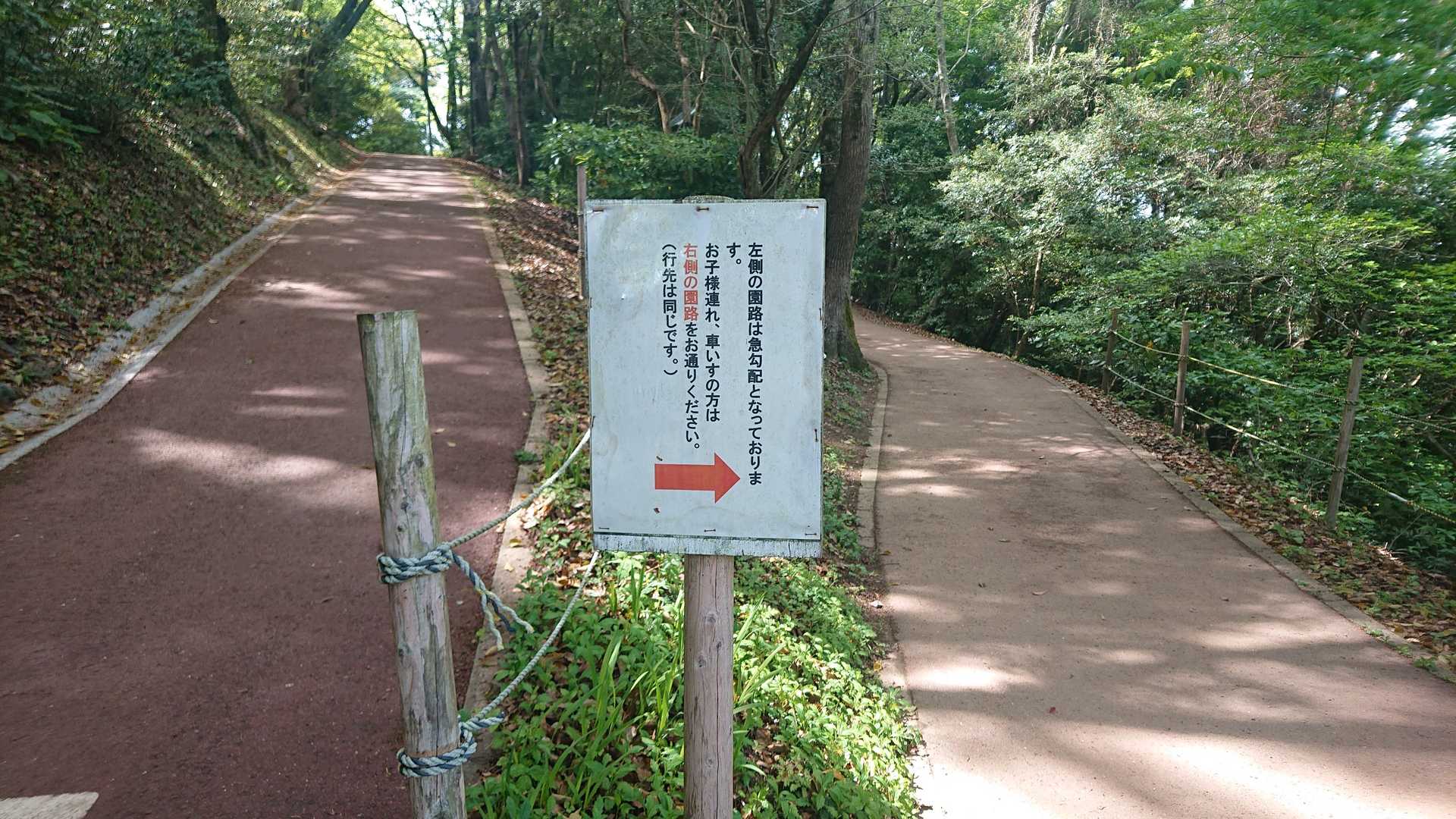ふむふむ🤔
右の方が緩やかな道なのね
それなら左や🏃