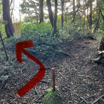グレーの三峯山はあちらへ行くと、