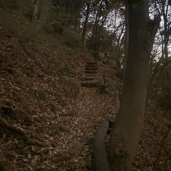 なだらかな階段が続きます。