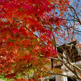 ここも紅葉が見頃