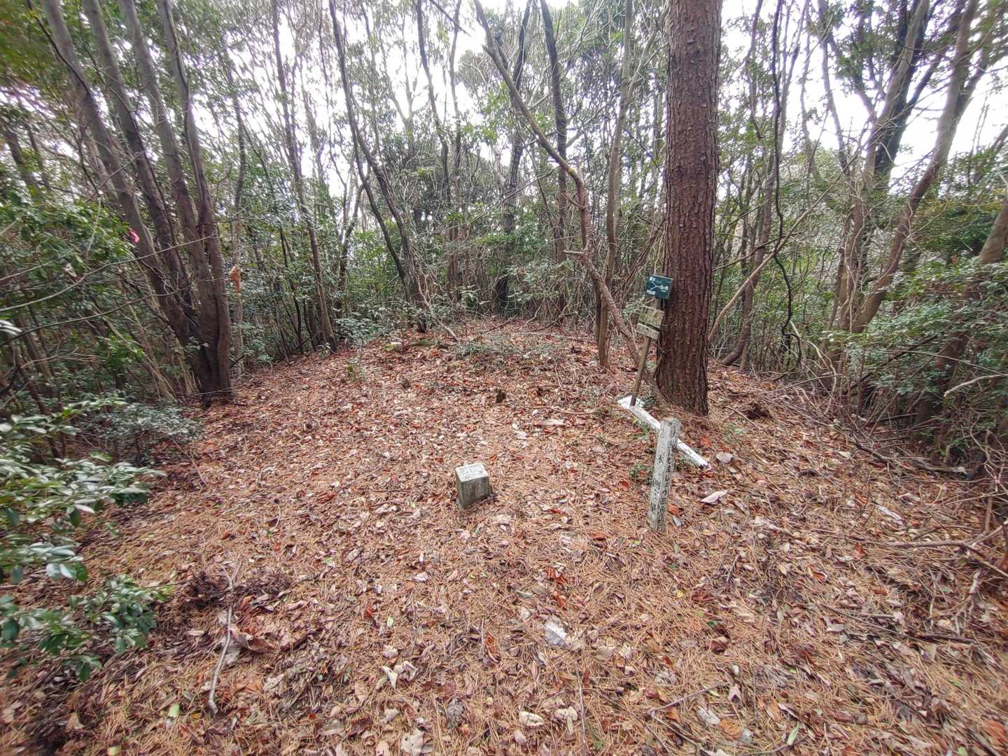 榾木山山頂。
眺望はあまりない。