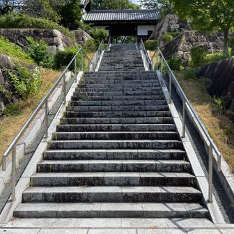 まずはお参り⛩️