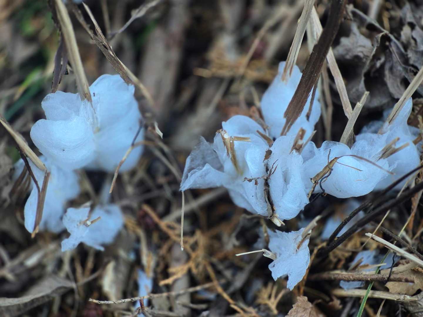 石老山登山口-石老山-大明神-さがみ湖MORIMORI前- 周回コースの写真